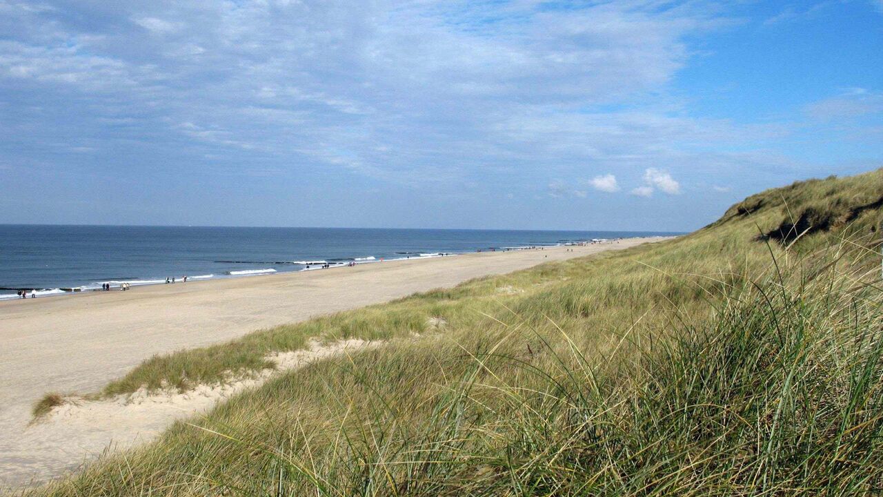 Konflikte als Chance nutzen – konstruktiv und nachhaltig –