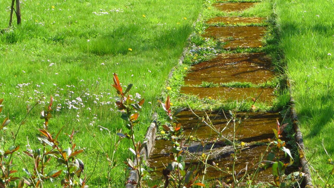 Gewaltfreie Kommunikation - Achtsamkeit und Selbstmanagement