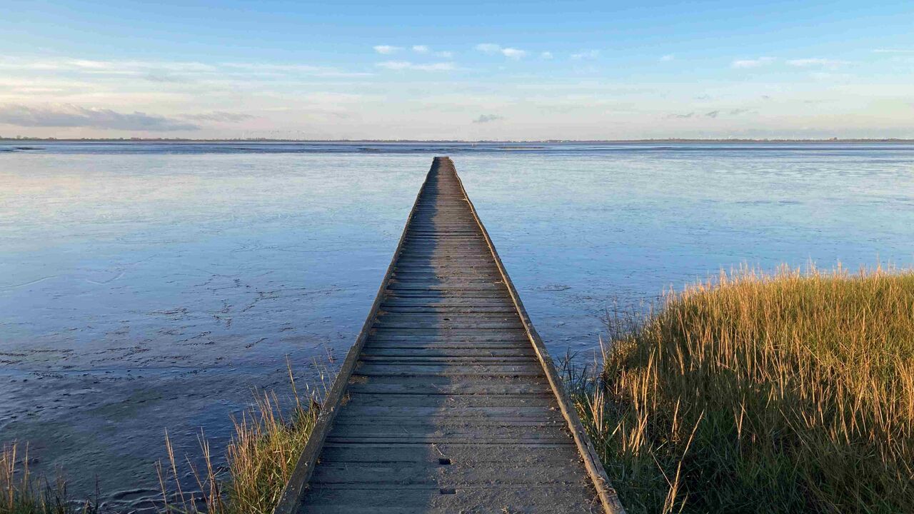 Ein Kompass für berufliche Potenzialentwicklung