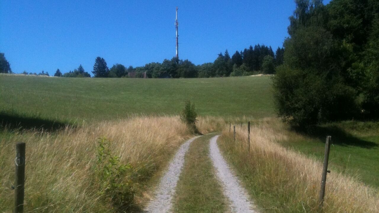 Das Wichtigste zuerst – Klarheit und Selbstfürsorge im (Arbeits-)Leben!