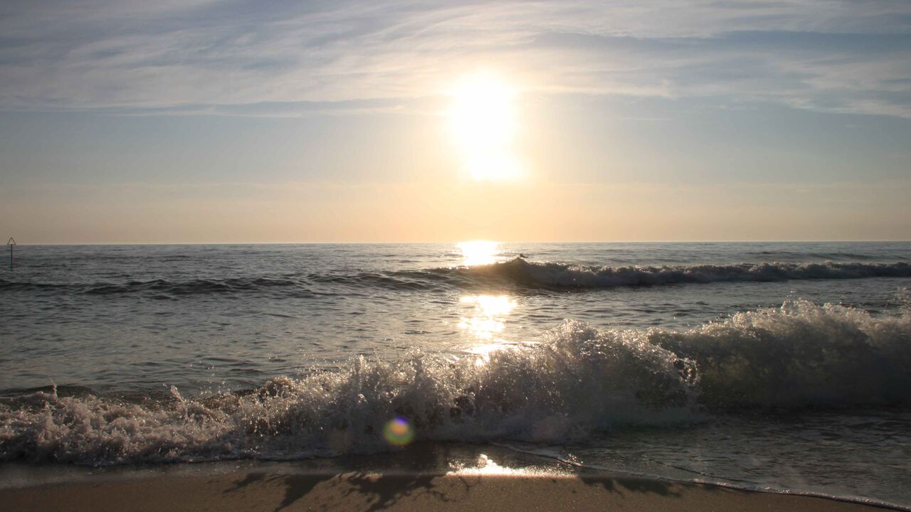 „Speed“-Focusing – stimmig handeln + entscheiden im Berufsalltag