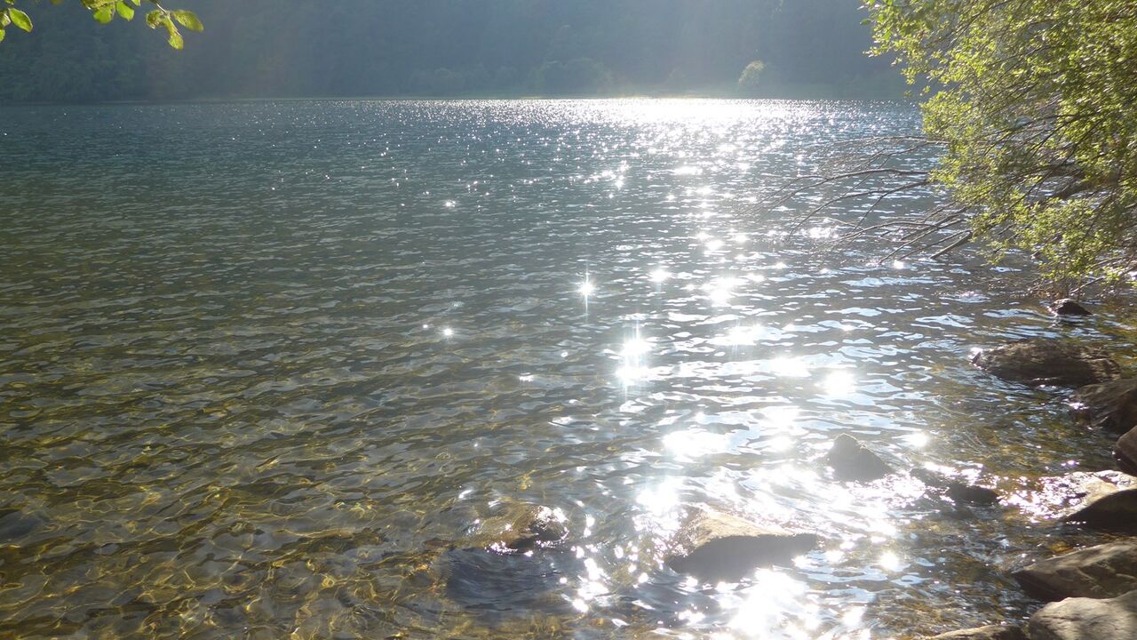 Naturpark Südschwarzwald - 