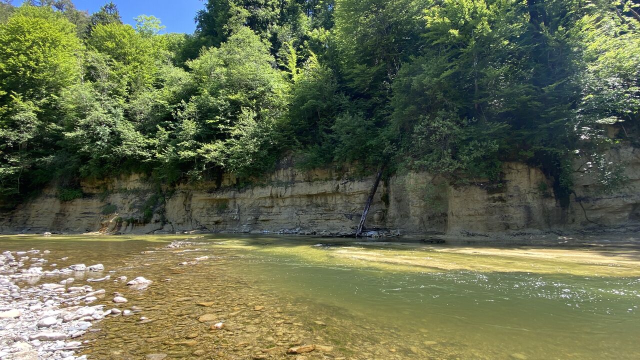 Das Oberschwäbische Allgäu – Entwicklung und Erhalt einer Kulturlandschaft zwischen Tradition und Zukunft
