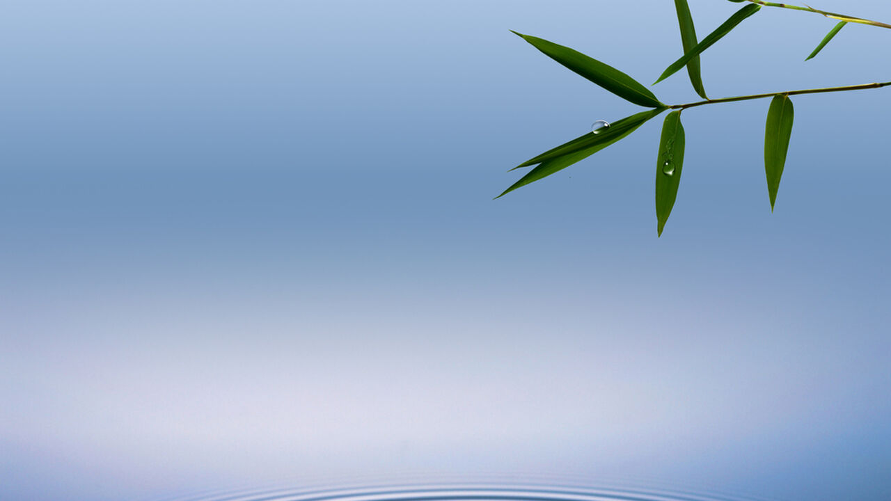 Stressbewältigung nach Jon Kabat-Zinn