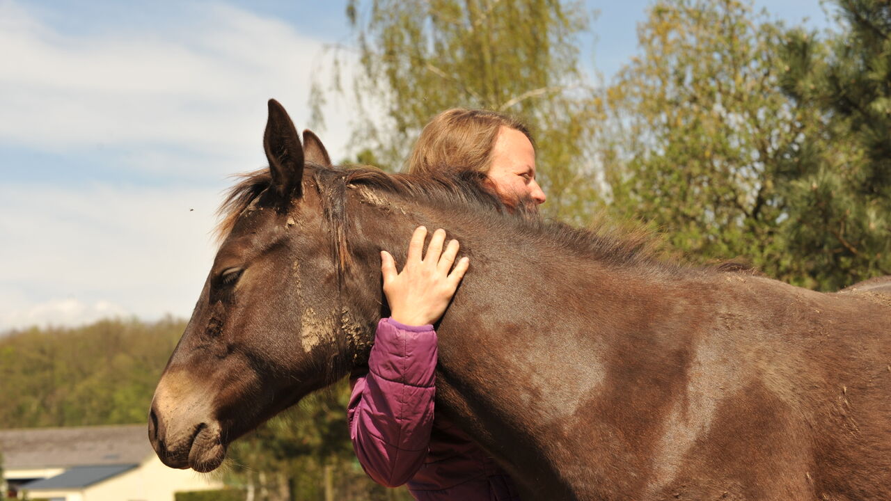 Epona-Intensiv - Weiterbildung in pferdegestützter Persönlichkeitsentwicklung