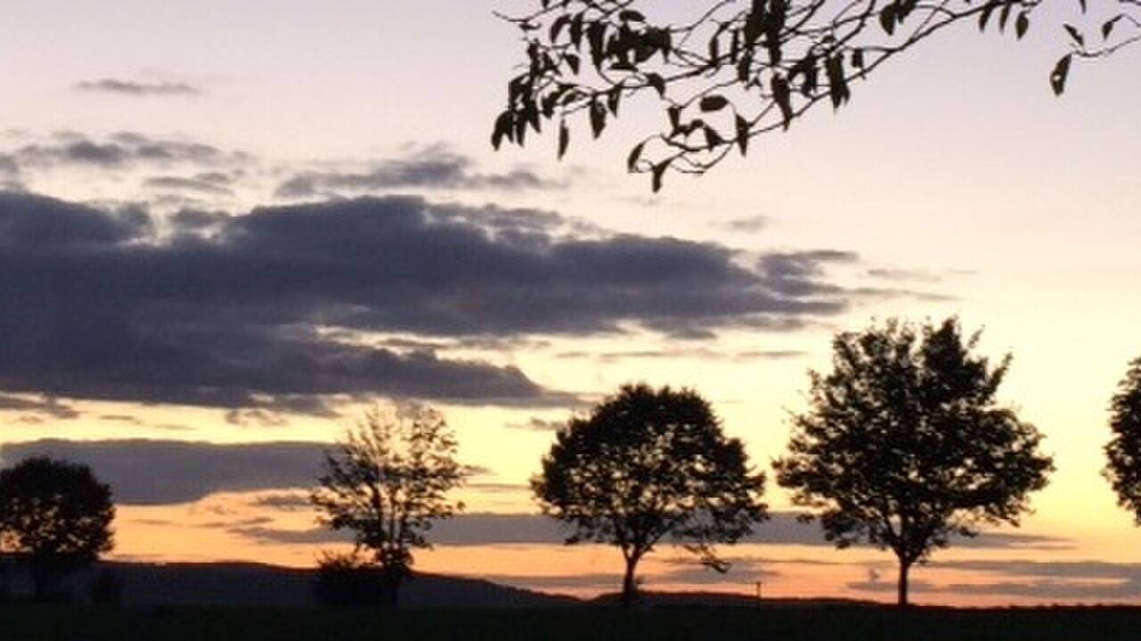 Gemeinsam schaffen wir es – Teamkultur erlebbar machen!