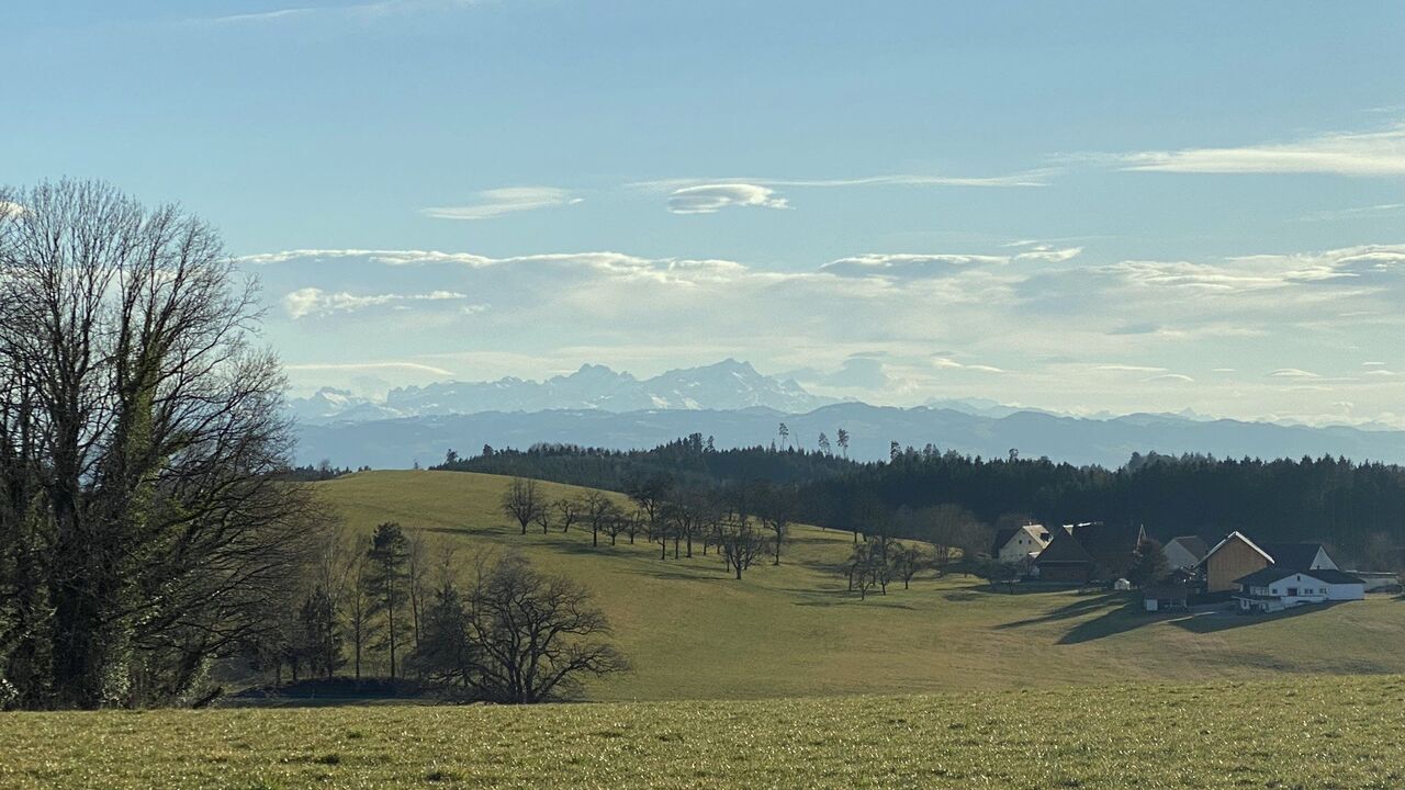 Das Oberschwäbische Allgäu – Entwicklung und Erhalt einer Kulturlandschaft zwischen Tradition und Zukunft