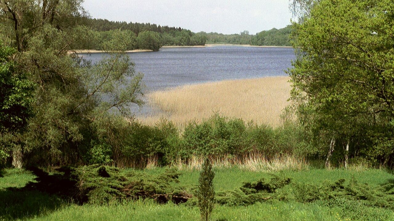 Müritz Nationalpark - Chance für eine wertvolle Naturlandschaft?