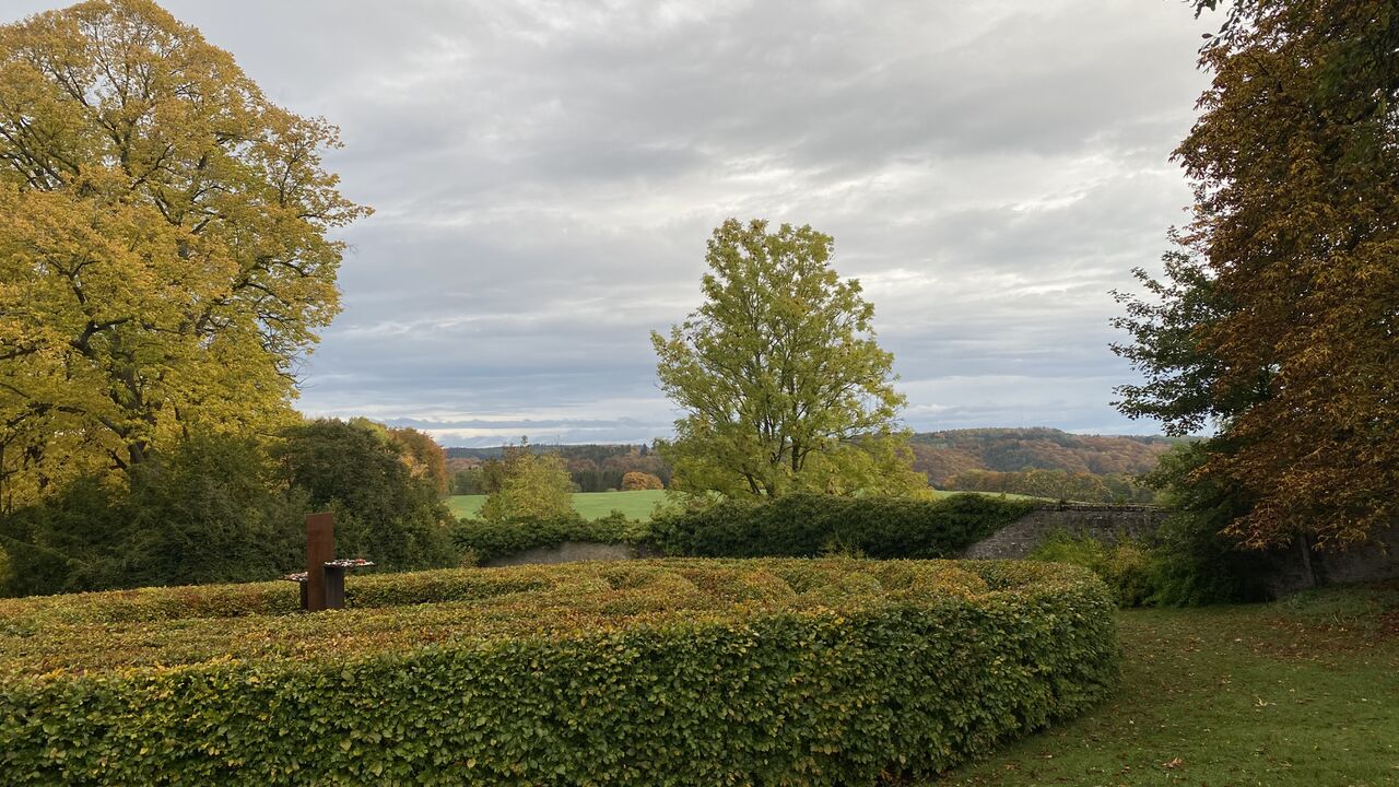 Neue Energie im Beruf durch Iyengar®-Yoga - Möglichkeiten der Verbesserung beruflicher Effizienz