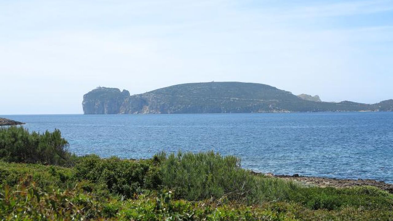 Sardinien - Vorbild für Verknüpfung von nachhaltiger Landwirtschaft, Naturschutz und Tourismus in Europa?