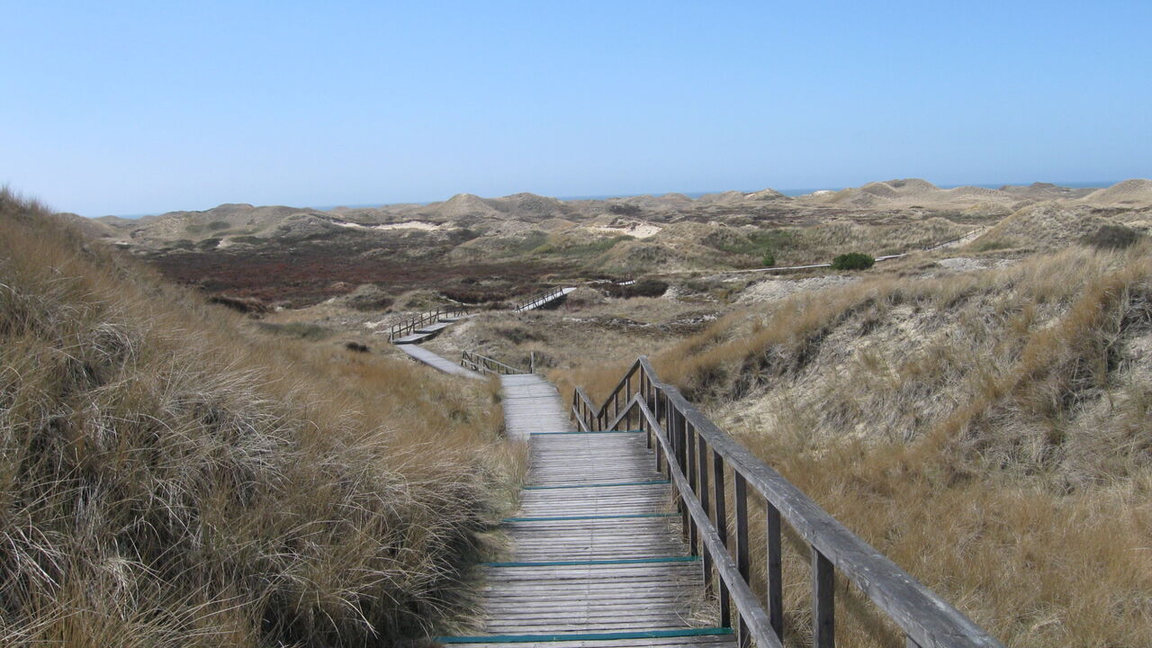 Amrum und die Halligwelt - durch Nationalpark und Biosphärenreservat bestens geschützt?