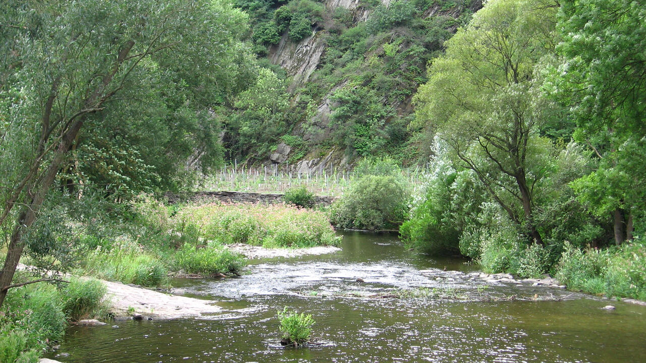 Weiterbildung Tourenleiter*in für Natur und Landschaft