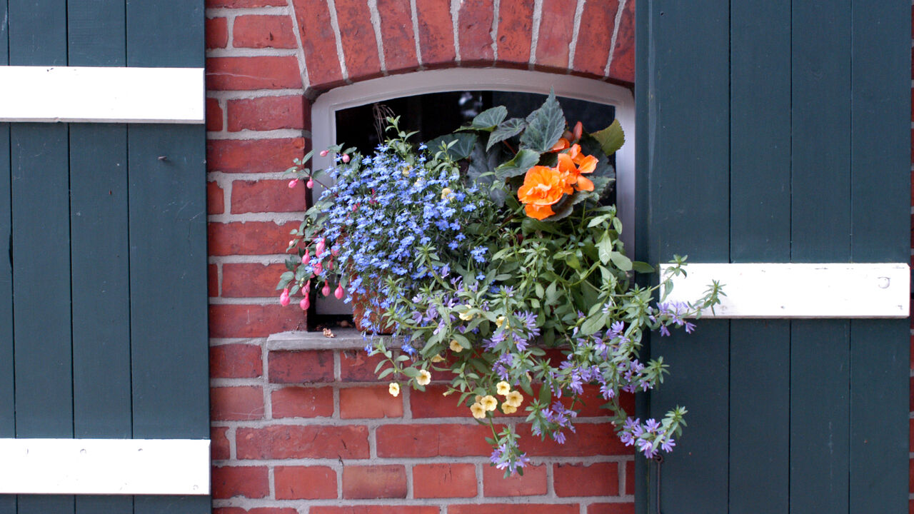 Mehr Ausgeglichenheit im Beruf durch Iyengar®-Yoga und Ayurveda