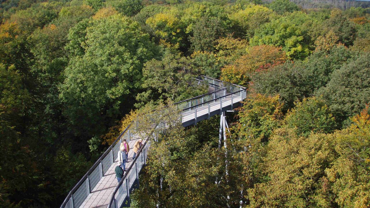 Nationalpark Hainich - Schutz für den „Urwald mitten in Deutschland“