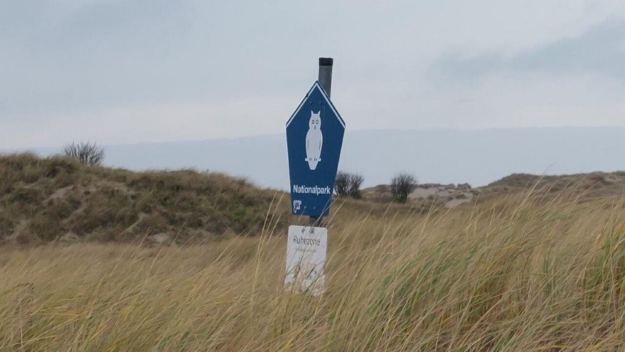 Norderney: Eine ostfriesische Insel zwischen Naturschutz und menschlicher Nutzung