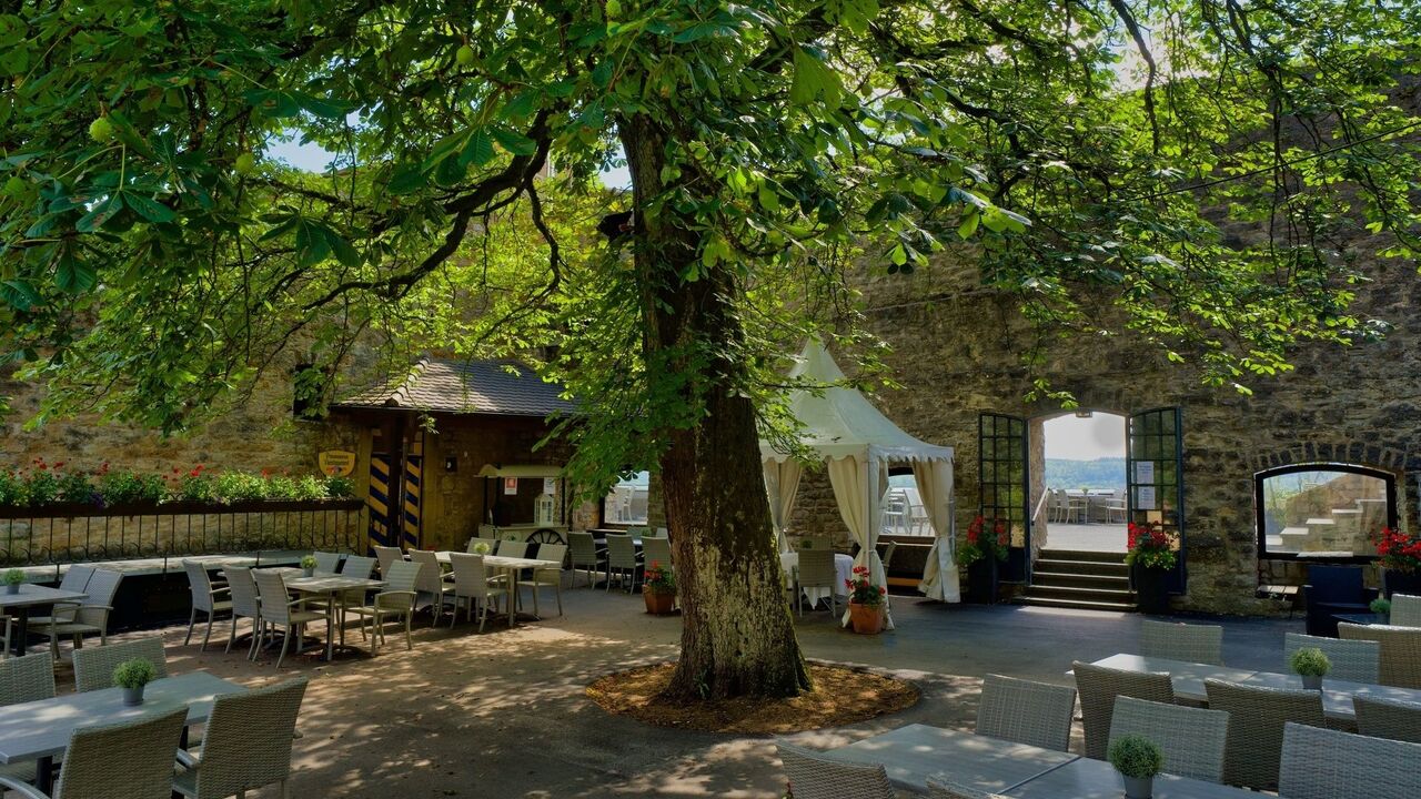 Work-Life-Balance durch Yoga, Pilates und Entspannungstechniken, Bildungsurlaub mit Hund