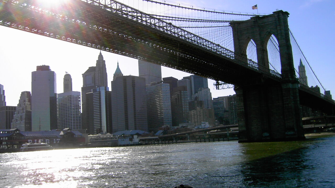 New York City: Beispiel für eine gelungene Einwanderungspolitik?