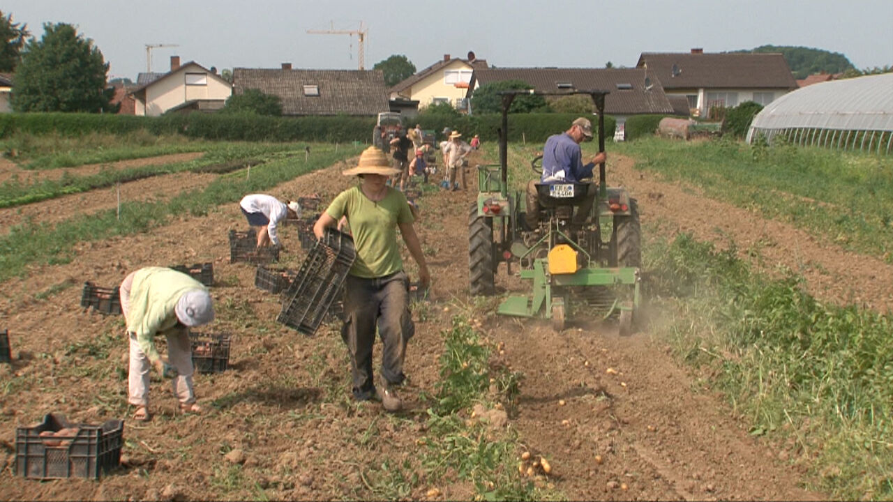 Freiburg - Deutschlands grüner Süden