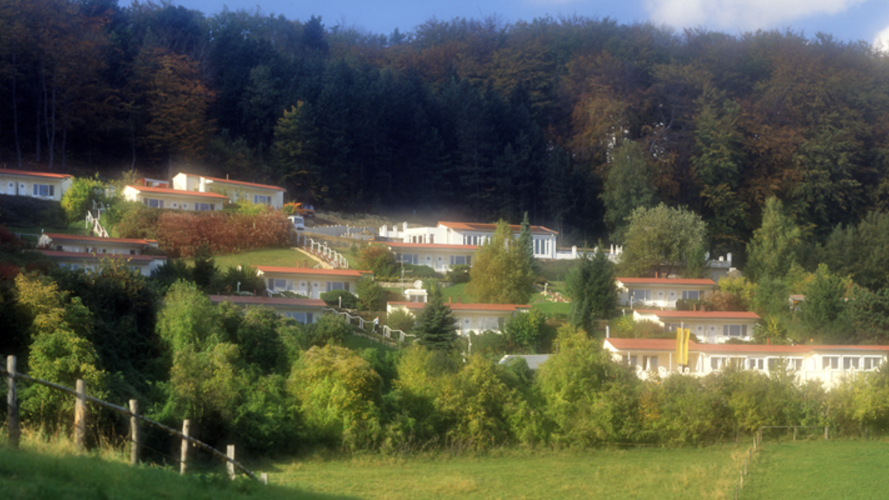 Harmonische Verhältnisse - mit Ayurveda-Yoga und Embodied Voice Work