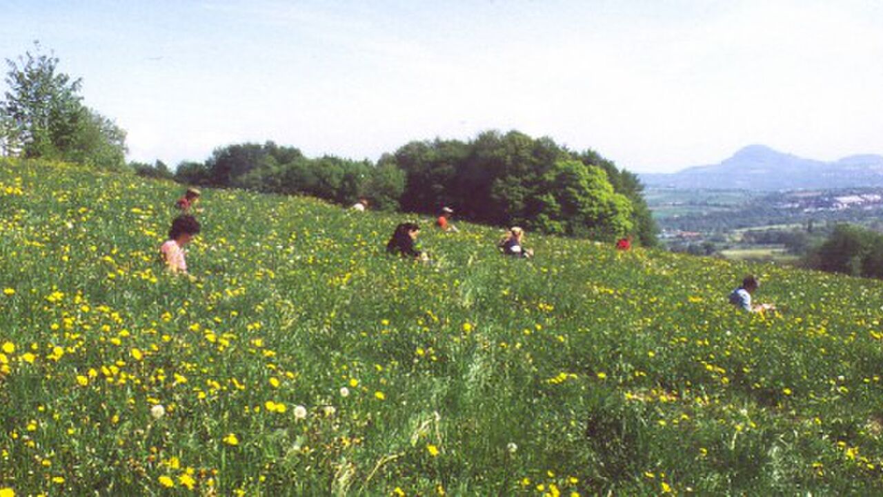 Weiterbildung Naturpädagogik: Naturerleben, Naturwissen, naturbezogene Methodik und Didaktik, Gruppenleitung