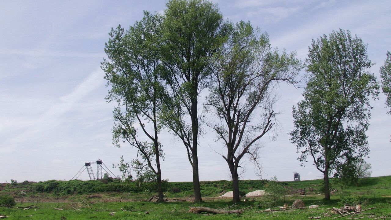 Nationalpark Eifel und Braunkohletagebau Inden - Natur zwischen Schutz und Nutzung
