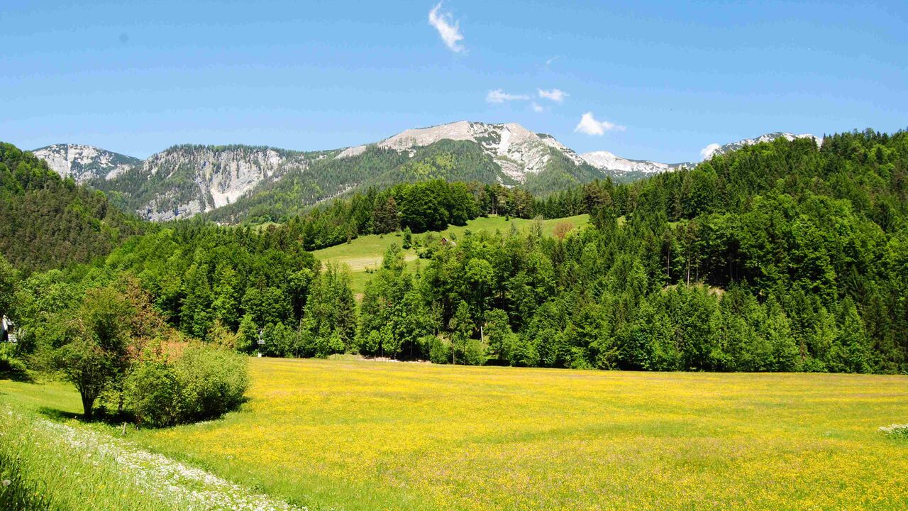 Nationalpark Kalkalpen - Modellregion für nachhaltige Entwicklung