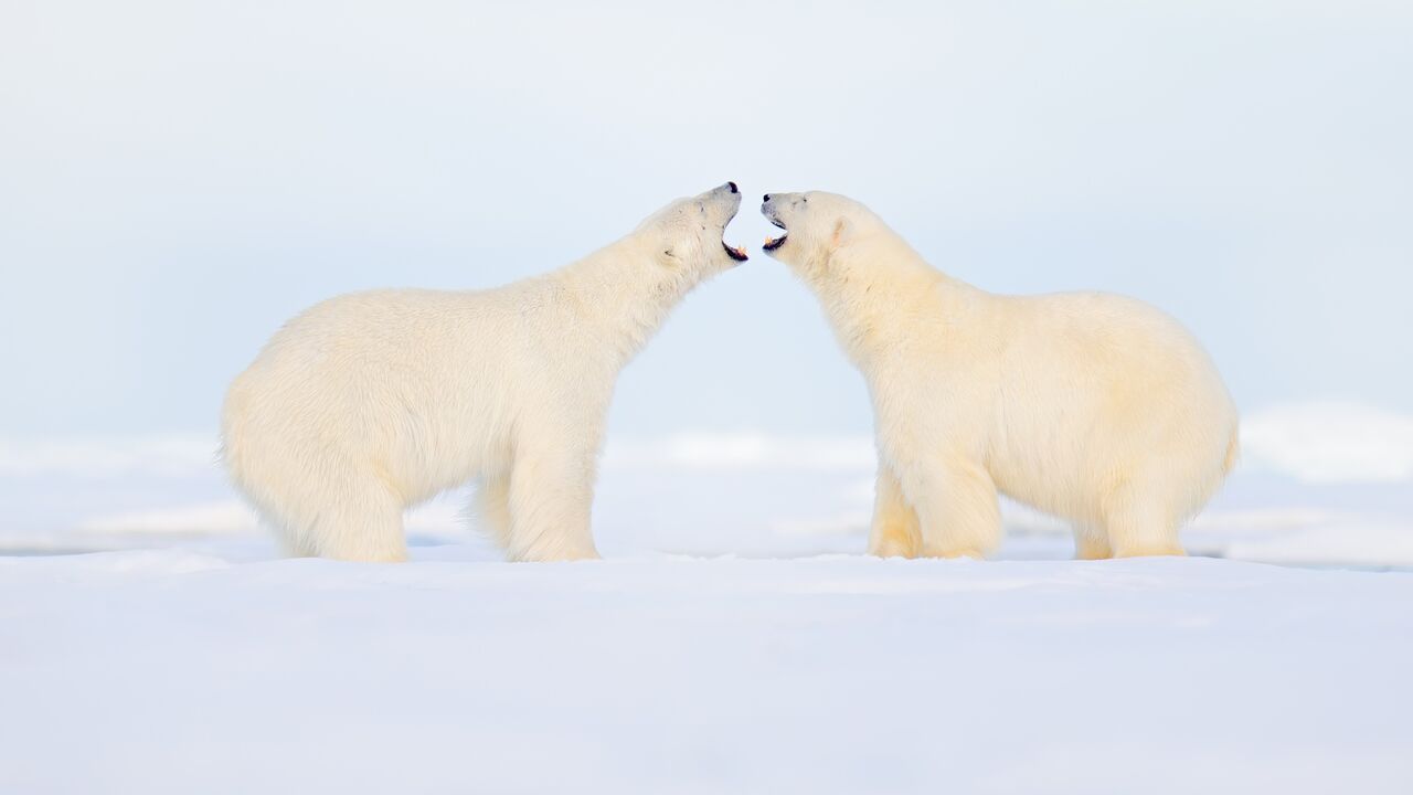 Gewaltfreie Kommunikation in Beruf und Alltag