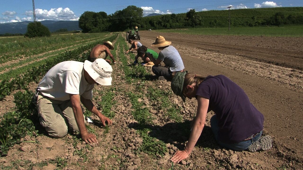 Freiburg - Deutschlands grüner Süden