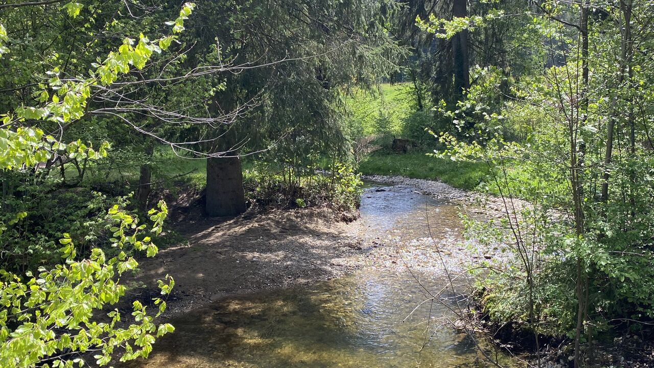 „Wildes Westallgäu“ und östliche Bodensee-Region: einzigartige Natur- und Kulturlandschaften „unter Druck“
