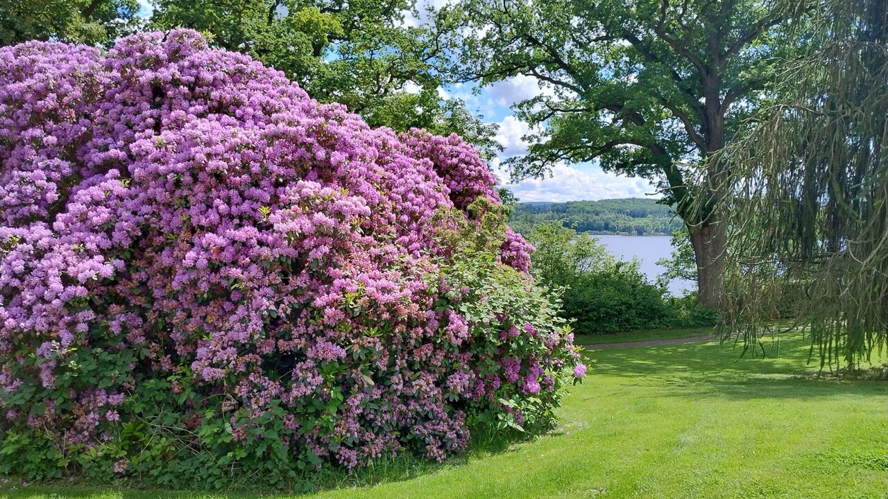 Diversity Management für gelingende Zusammenarbeit