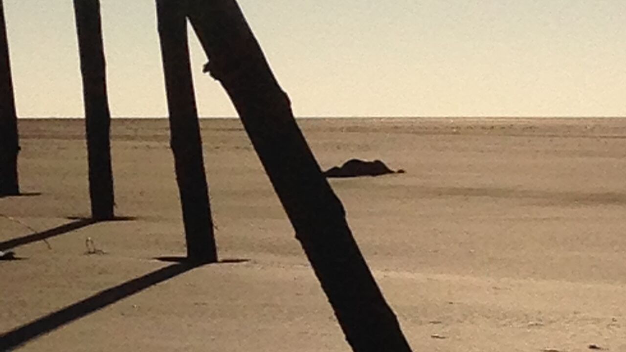 Stressbalance durch Achtsamkeit im Berufsleben