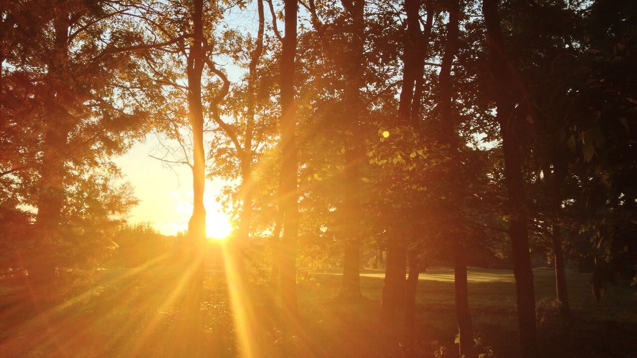 Dem Stress im JETZT begegnen - mit Achtsamkeit und Zen im Berufsleben