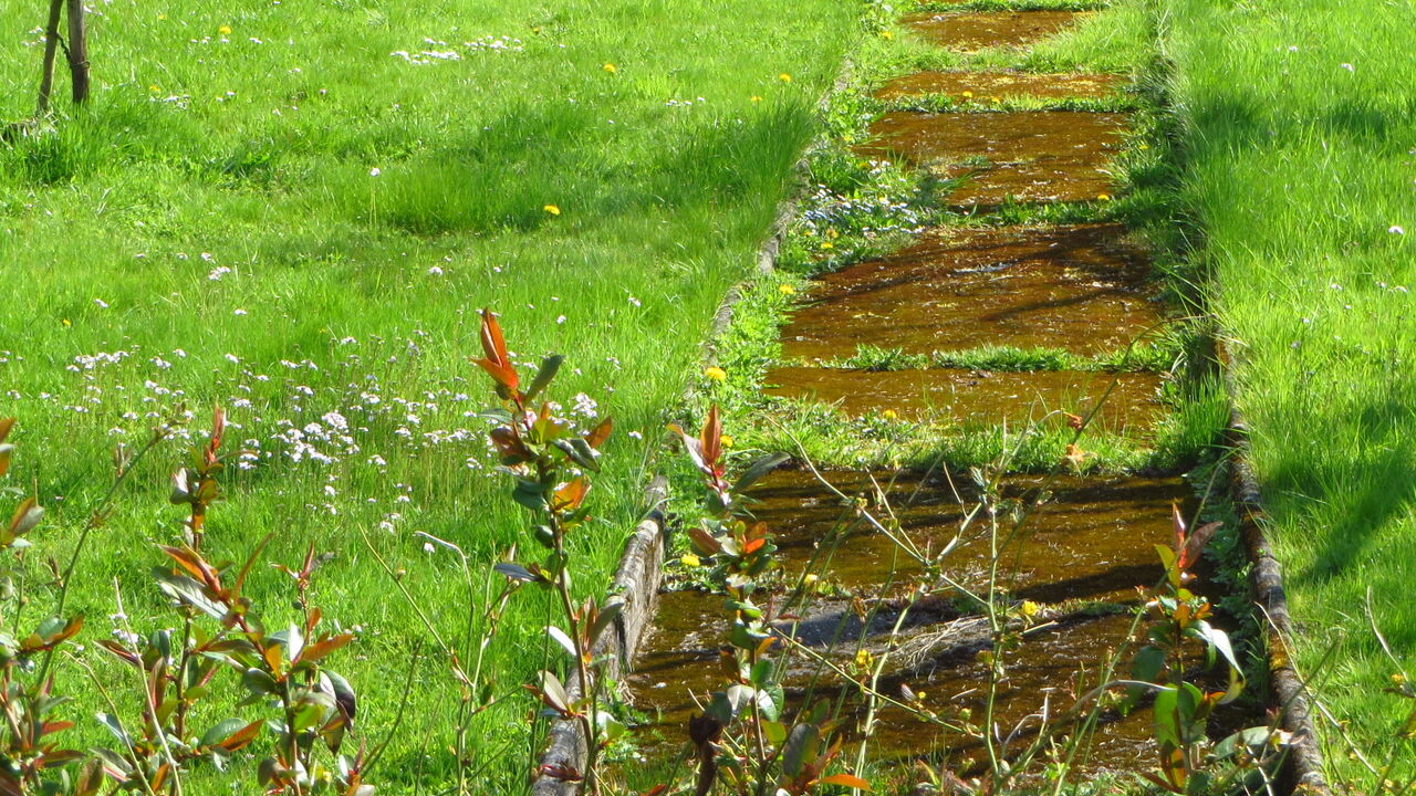 Rückengesundheit und Stressbewältigung mit Qigong