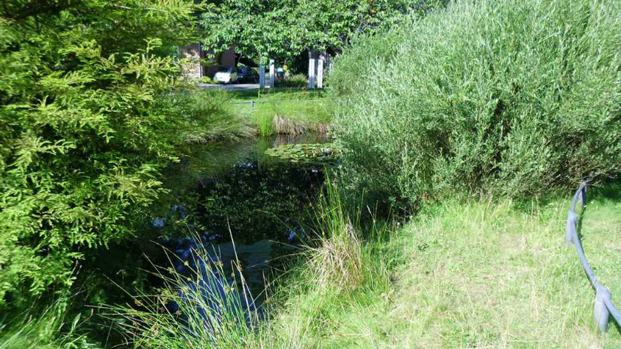 Intuition oder Intellekt? Wie treffe ich meine Entscheidungen?