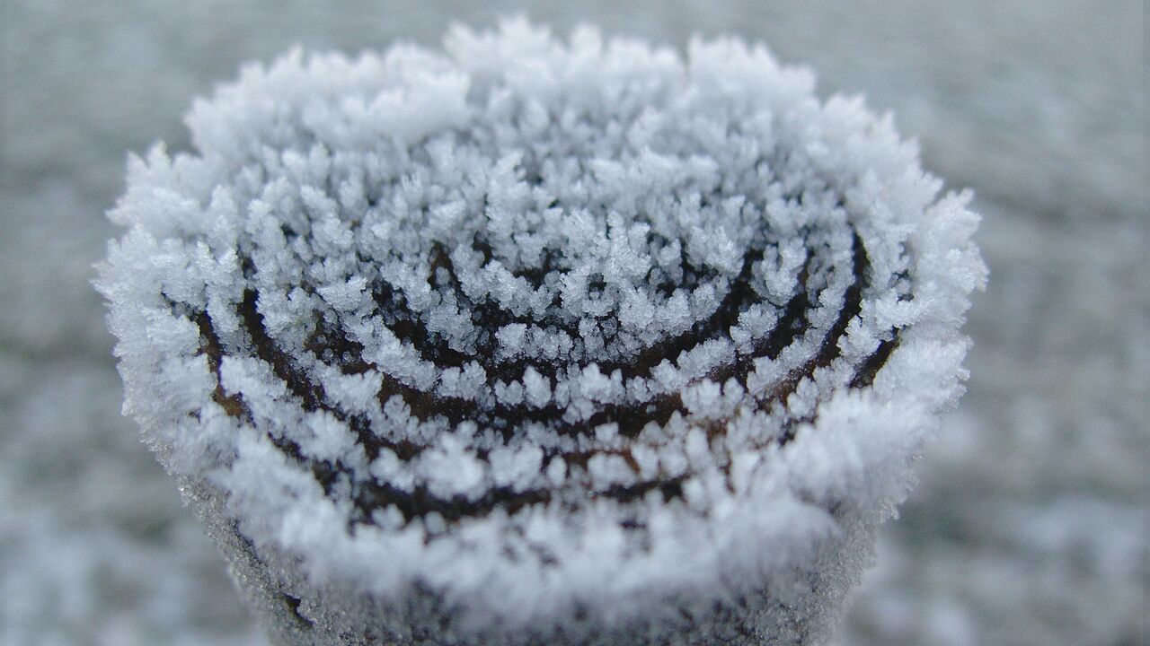 Achtsam und gelassen ins Neue Jahr - Stressreduktion und Resilienz im Berufsalltag