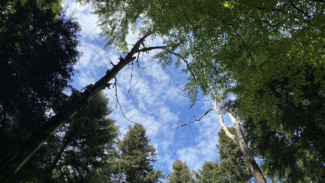 „Wildes Westallgäu“ und östliche Bodensee-Region: einzigartige Natur- und Kulturlandschaften „unter Druck“