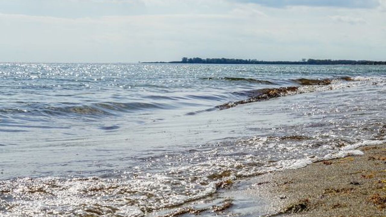 Intuition oder Intellekt? Wie treffe ich meine Entscheidungen?