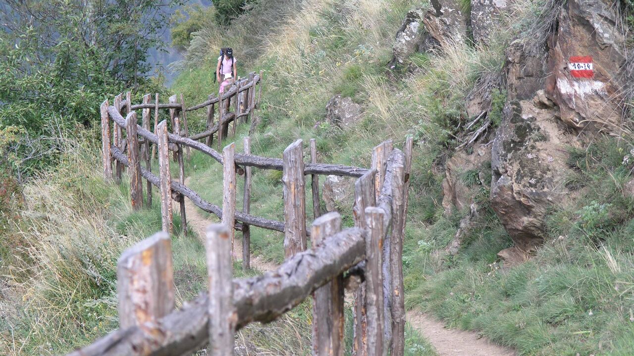 Vinschgau und Nationalpark Stilfserjoch – Chancen und Bedrohung einer faszinierenden Natur- und Kulturlandschaft