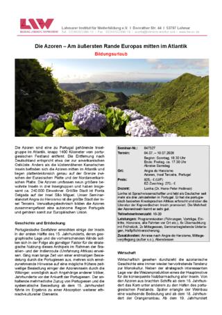 847327 Flyer.pdf