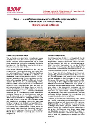 847927-Flyer.pdf