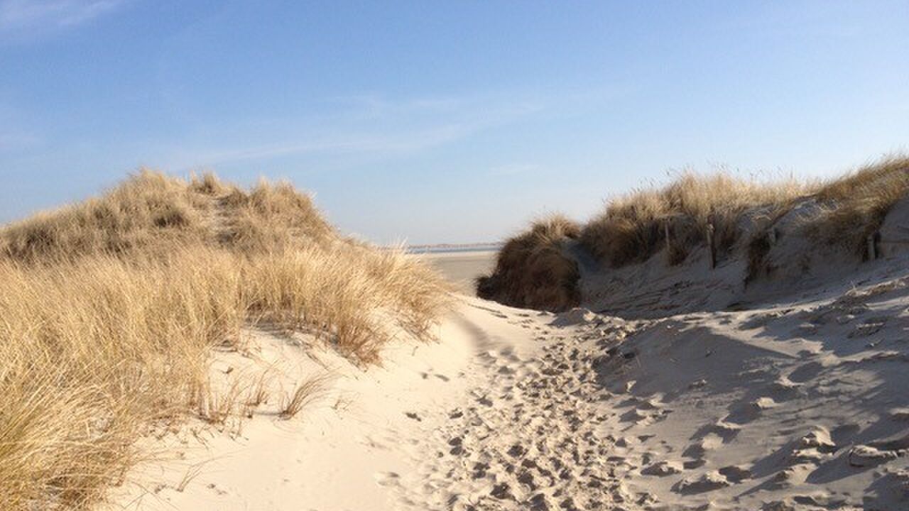 Gesund und resilient durch erfolgreiches Selbstmanagement im Berufsalltag