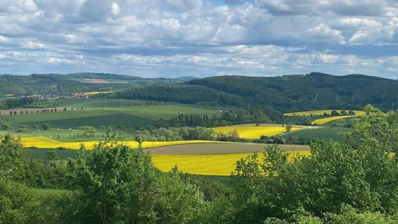 Persönliche Potenziale erkennen durch Iyengar-Yoga® - Aufbaumodul
