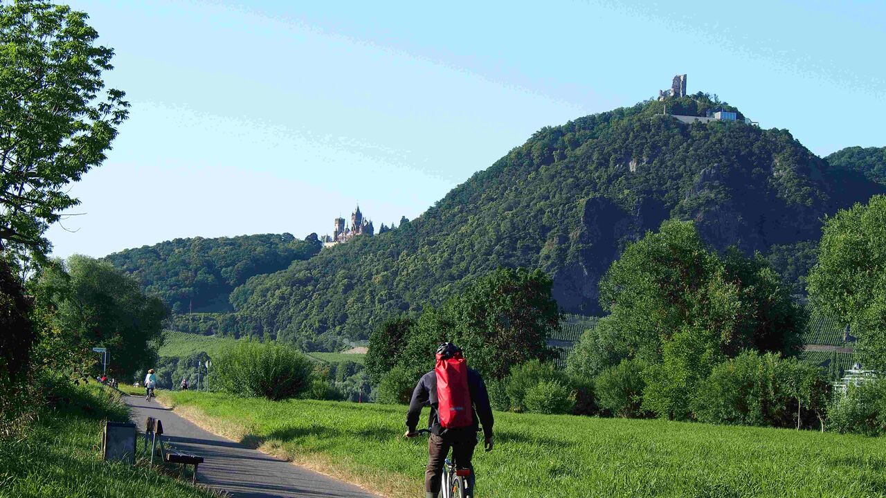 Das Siebengebirge – wertvolle Natur- und Kulturlandschaft zwischen Schutz und Nutzung