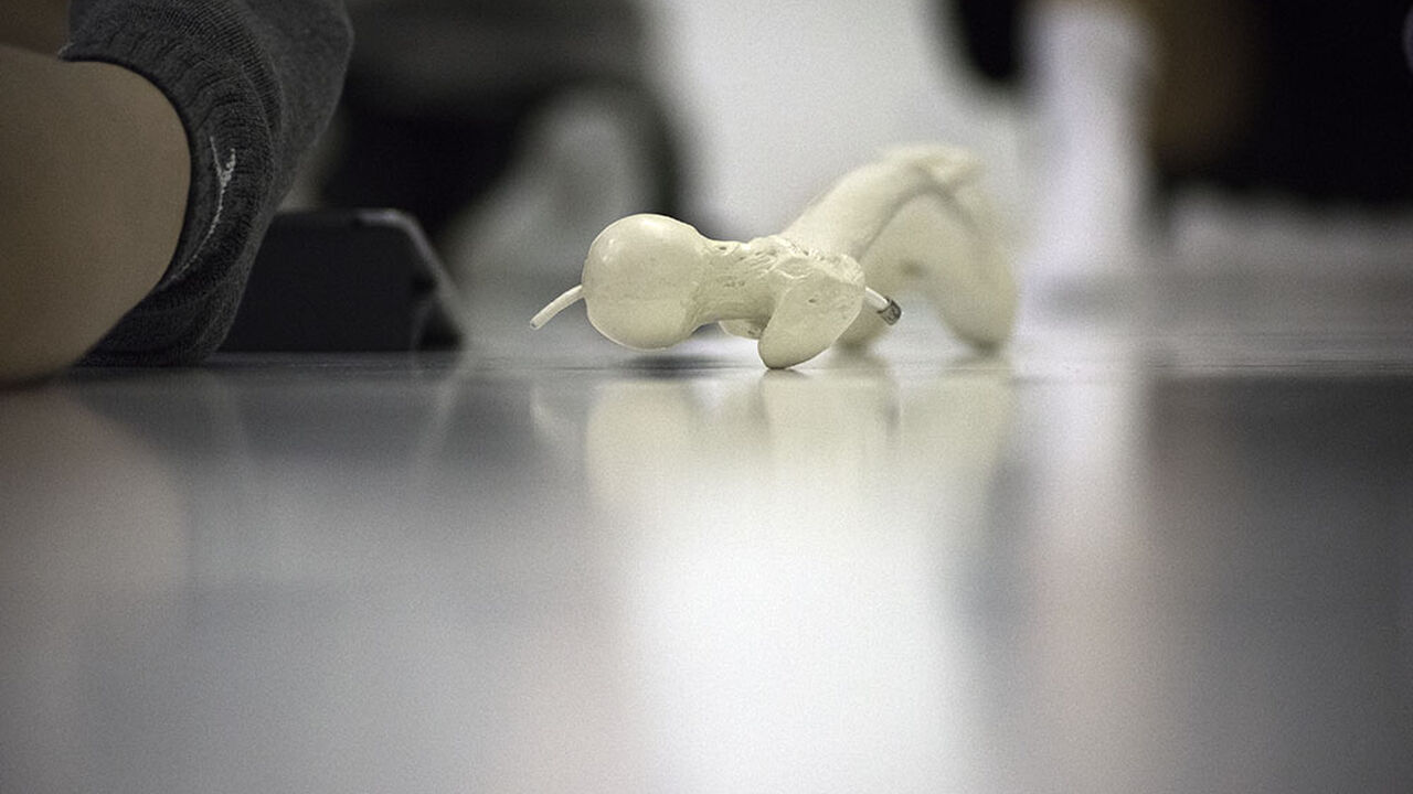 Die Franklin-Methode® im Beruf