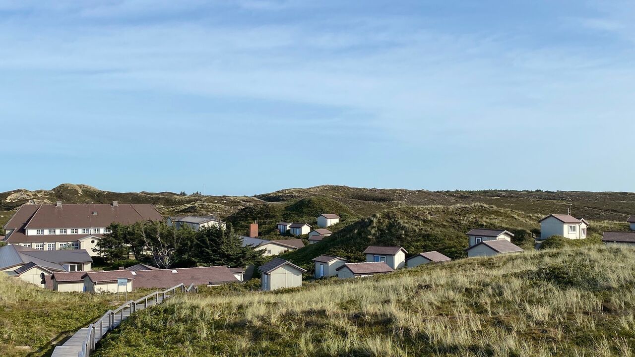 Resilienz im Beruf stärken - Resilienzkompetenz mit dem persolog®-Profil und Yoga Flows