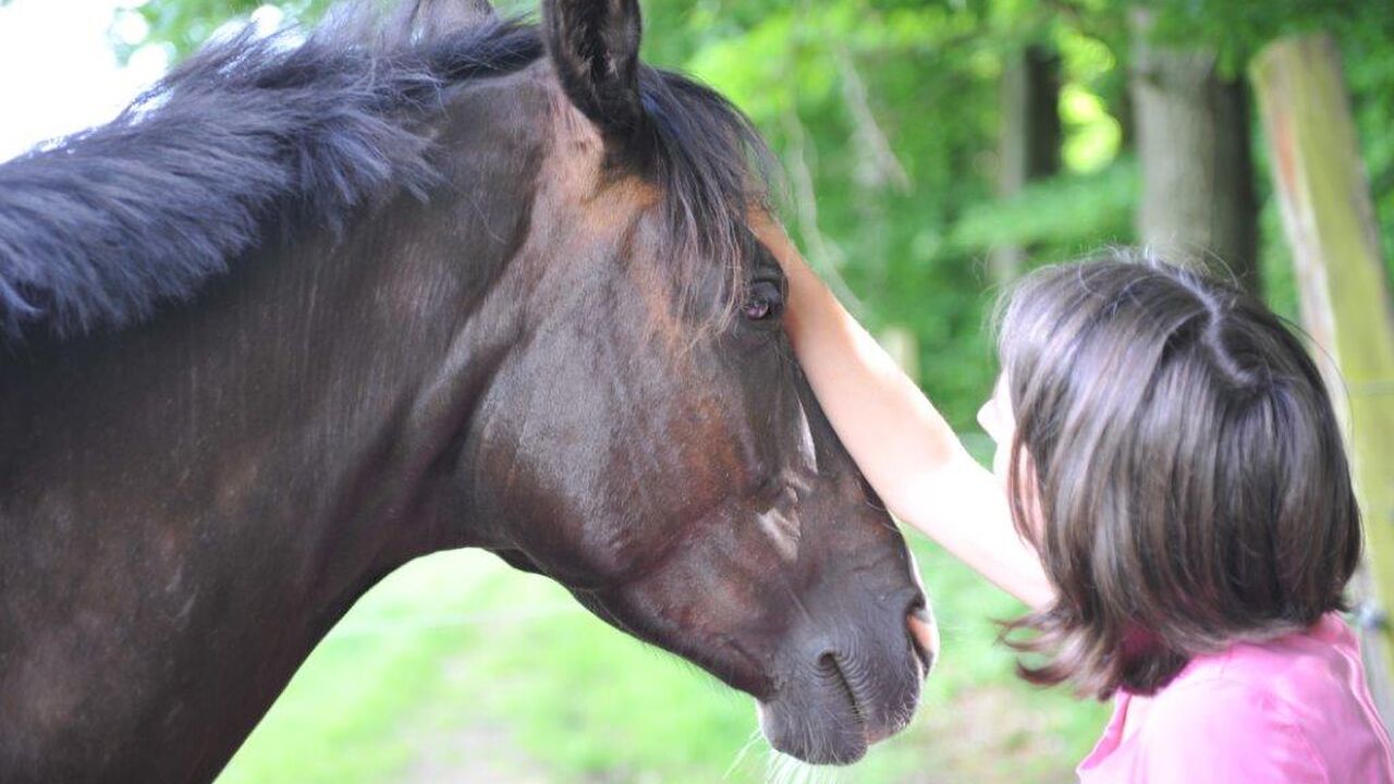 Epona-Intensiv - Weiterbildung in pferdegestützter Persönlichkeitsentwicklung