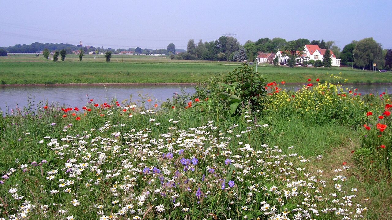 Entspannt und mit klarem Blick den beruflichen Alltag meistern