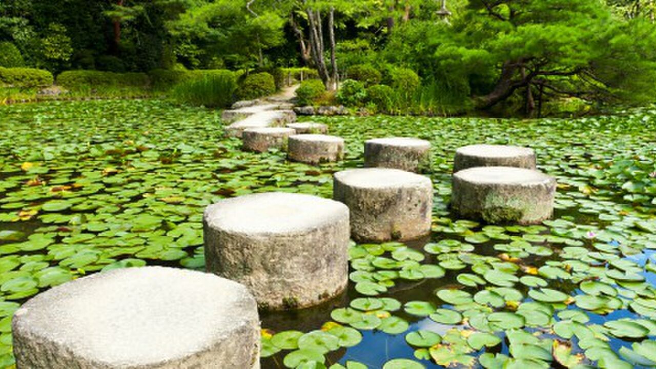 Perspektive 60 - die Herausforderungen im Herbst des beruflichen Lebens kraftvoll und achtsam annehmen