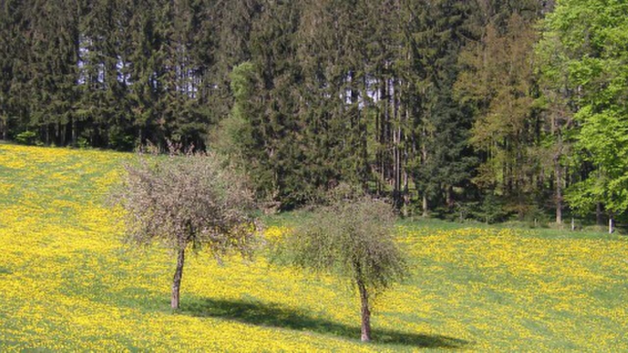 Gelassen und kraftvoll mit Zeitdruck und Stress umgehen