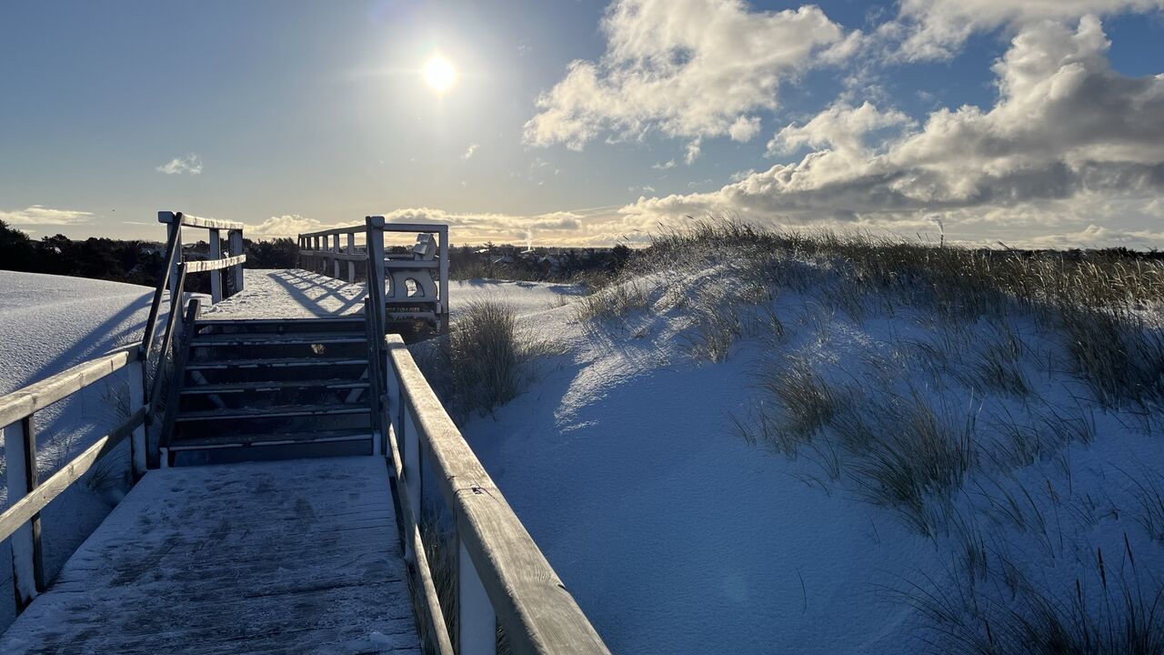 Die Franklin-Methode® im Beruf